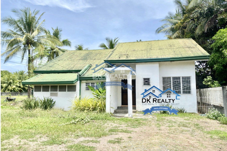 1,476 sqm Beach Lot for Sale with House in Cabadbaran City, Agusan del Norte, Philippines