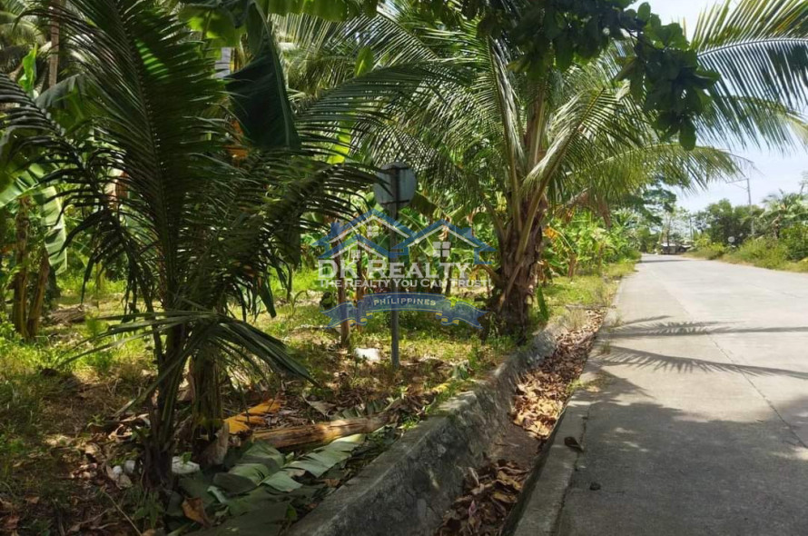 BEACH LOT WITH FARM