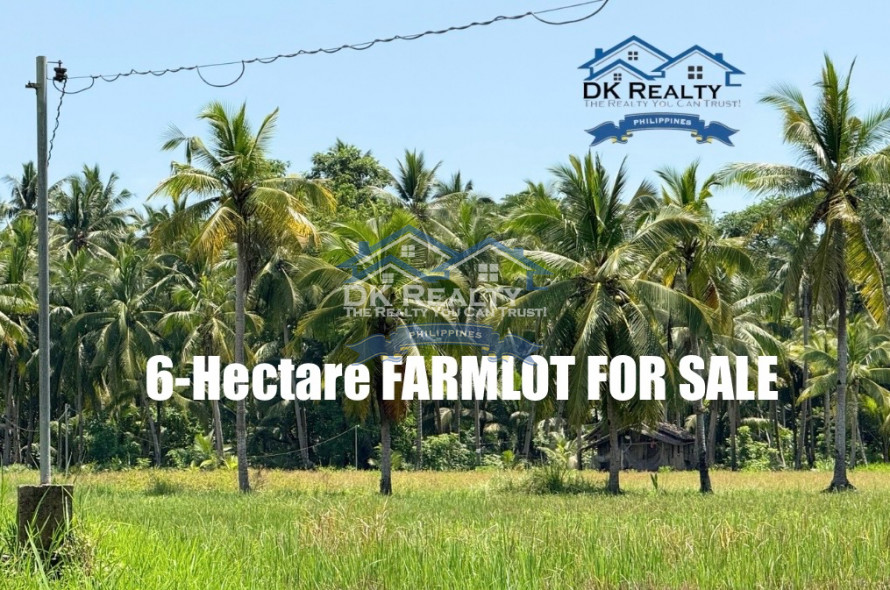 6-Hectare Farm for Sale in Butuan City
