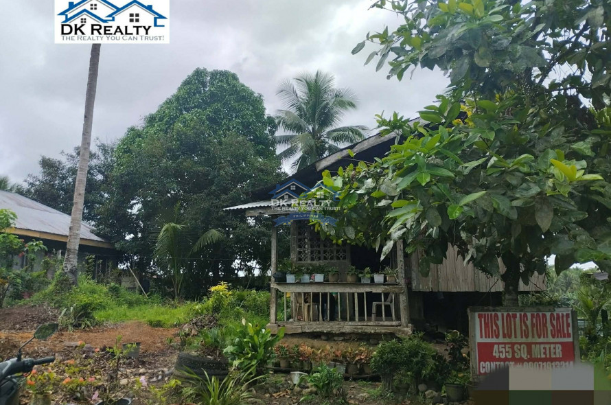 Residential Lot for Sale - Bayugan