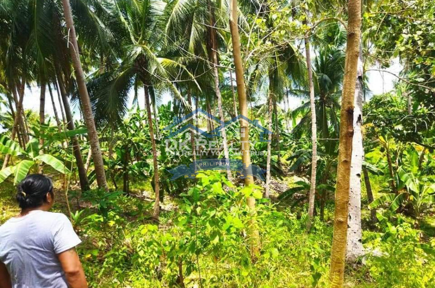 BEACH LOT WITH FARM