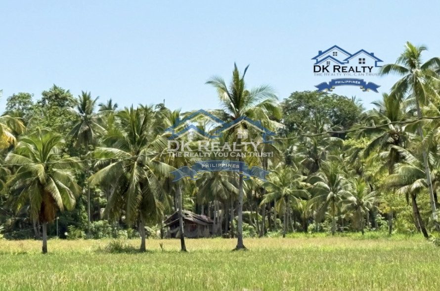 6-Hectare Farm for Sale in Butuan City