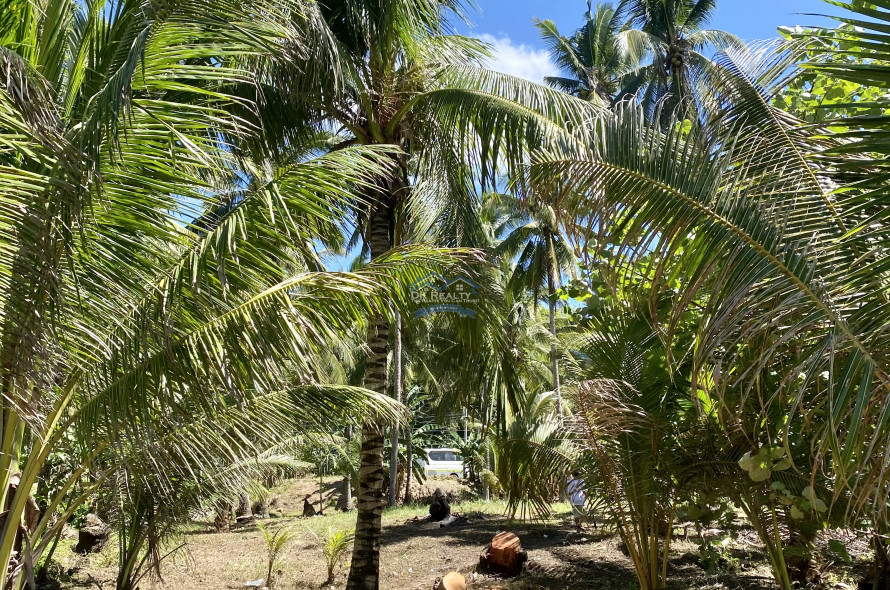 Amazing Beachlot For Sale in Magsaysay, Misamis Oriental