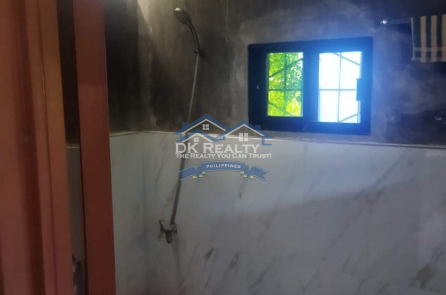 FULLY FURNISHED House and lot FOR SALE plus 1 hectare FARMLOT