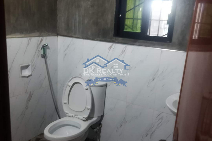 FULLY FURNISHED House and lot FOR SALE plus 1 hectare FARMLOT