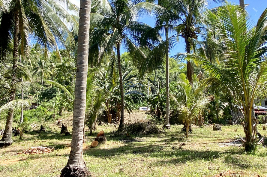 Amazing Beachlot For Sale in Magsaysay, Misamis Oriental