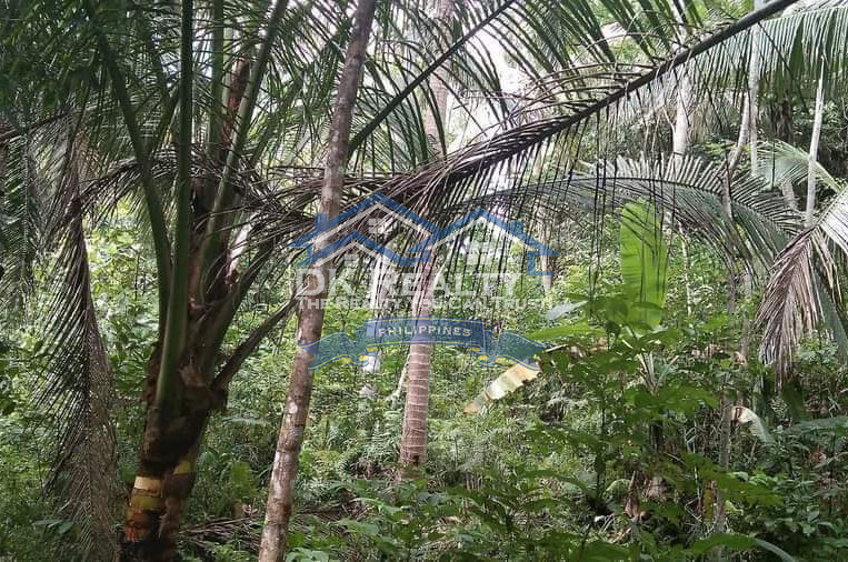 FARMLOT for SALE