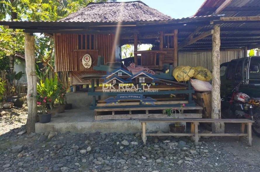 FULLY FURNISHED House and lot FOR SALE plus 1 hectare FARMLOT