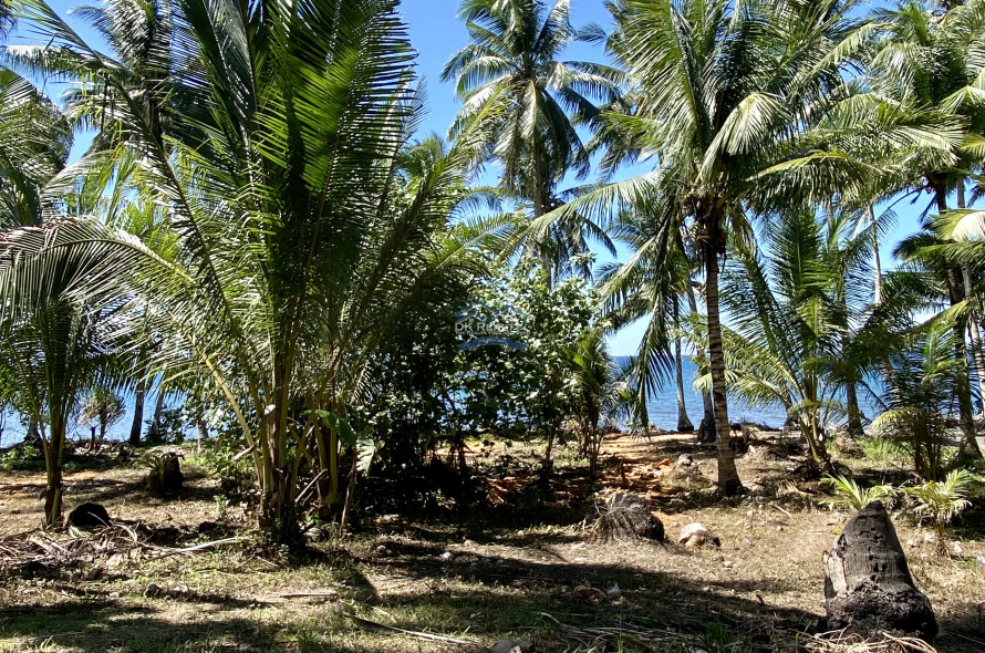 Amazing Beachlot For Sale in Magsaysay, Misamis Oriental