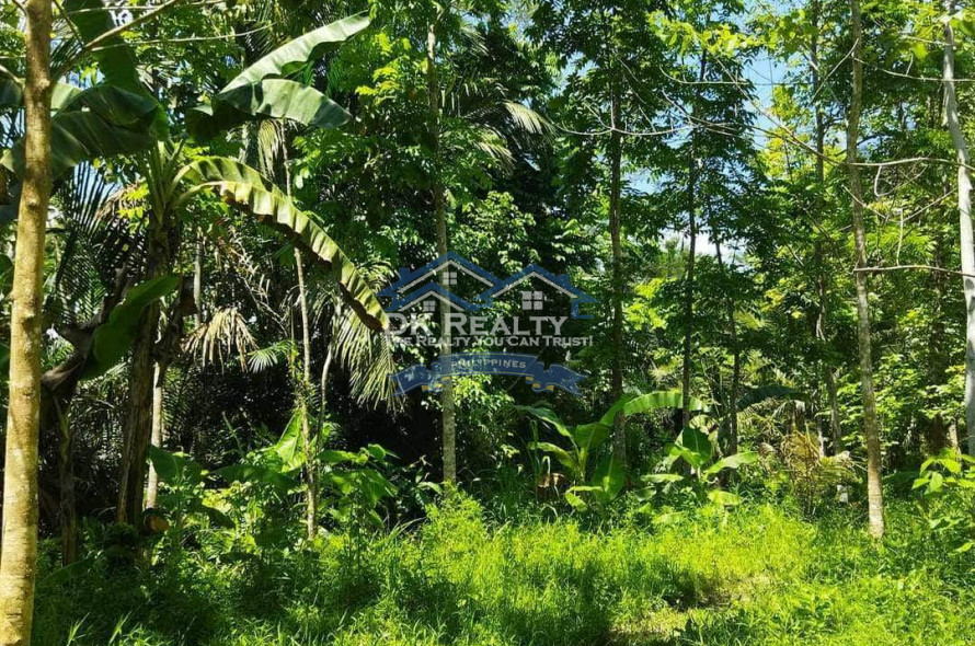 FULLY FURNISHED House and lot FOR SALE plus 1 hectare FARMLOT