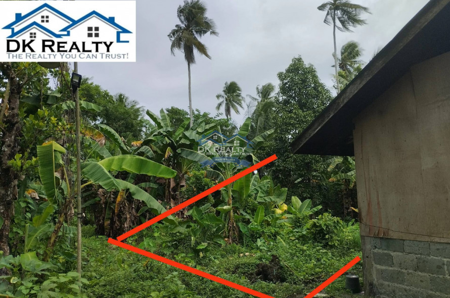Residential Lot for Sale