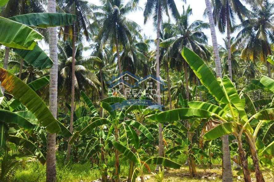 BEACH LOT WITH FARM