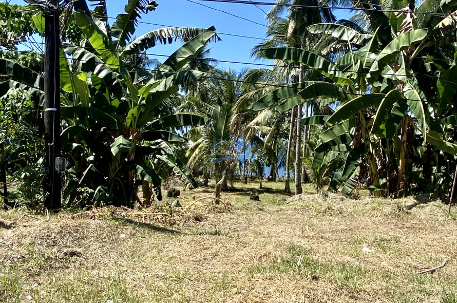 Amazing Beachlot For Sale in Magsaysay, Misamis Oriental