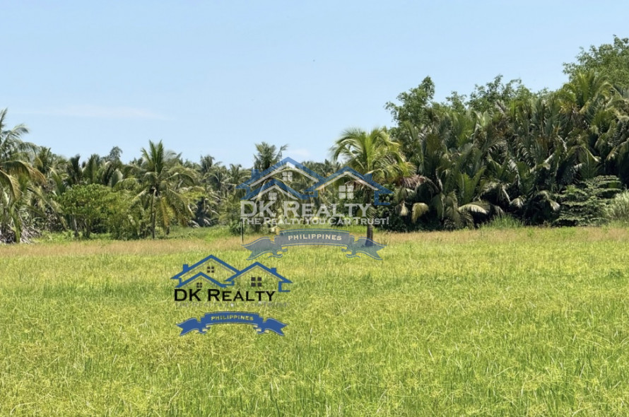 6-Hectare Farm for Sale in Butuan City