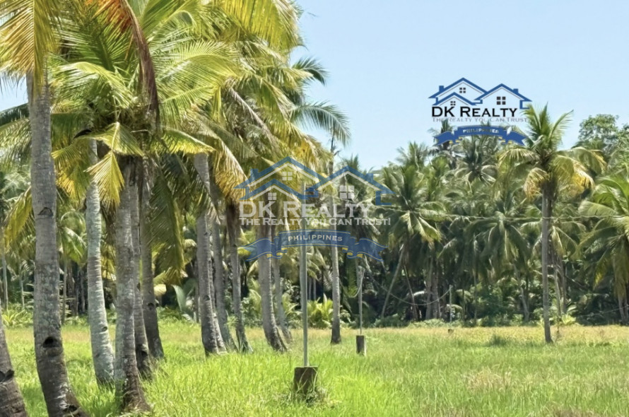 6-Hectare Farm for Sale in Butuan City