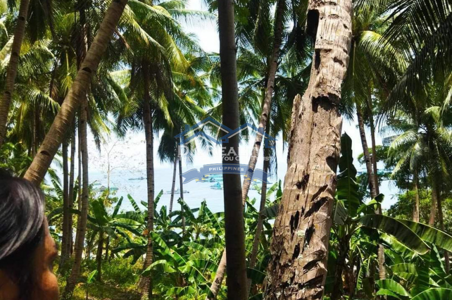 BEACH LOT WITH FARM