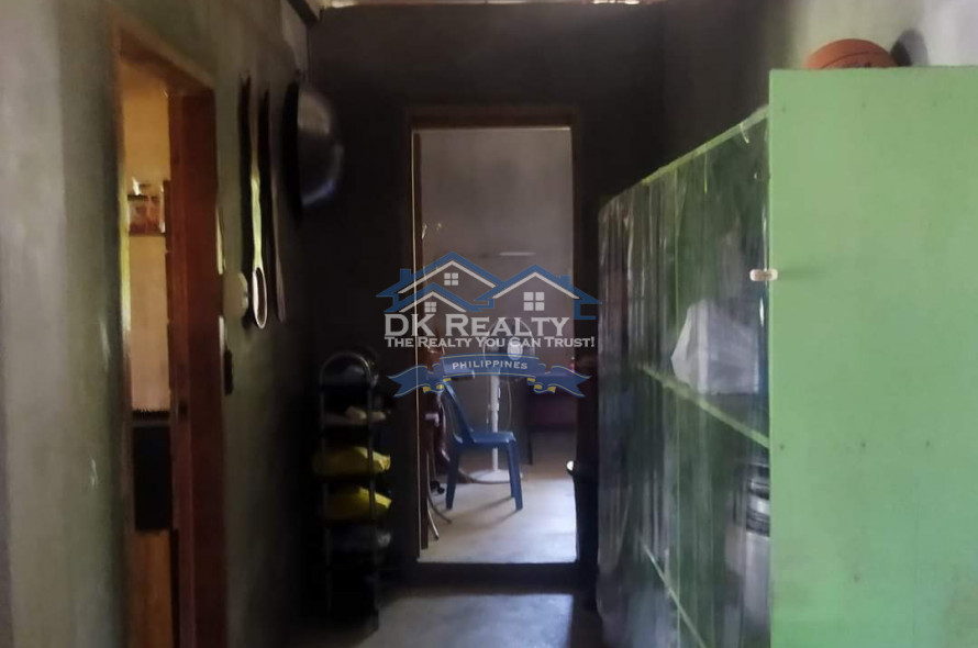 FULLY FURNISHED House and lot FOR SALE plus 1 hectare FARMLOT