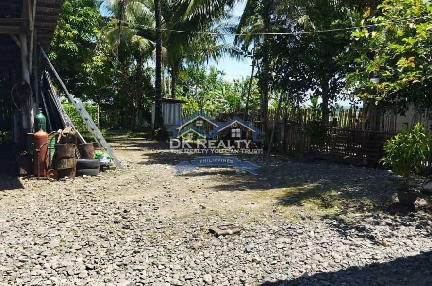 FULLY FURNISHED House and lot FOR SALE plus 1 hectare FARMLOT