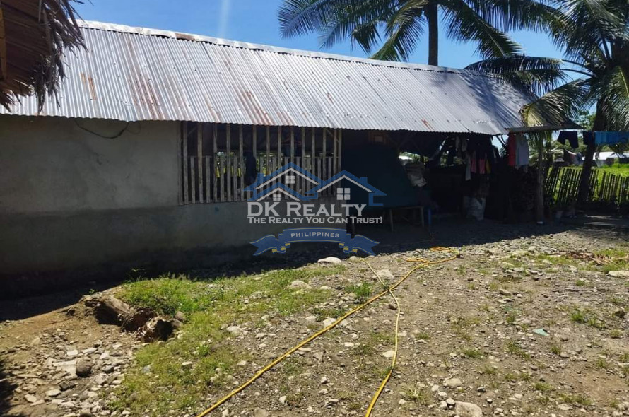 FULLY FURNISHED House and lot FOR SALE plus 1 hectare FARMLOT
