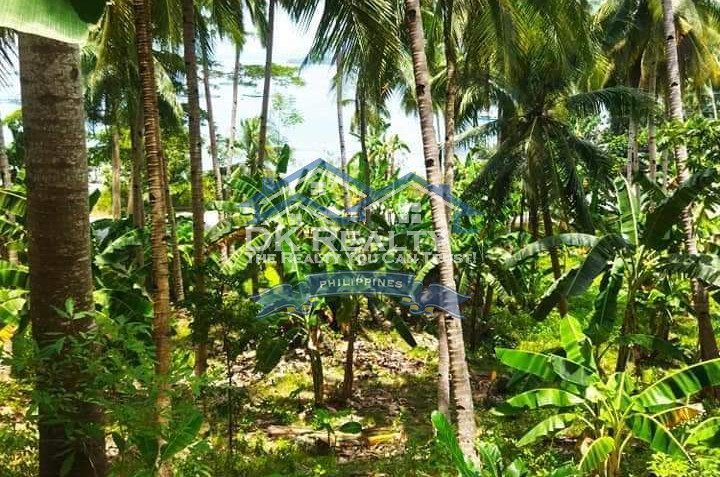 BEACH LOT WITH FARM