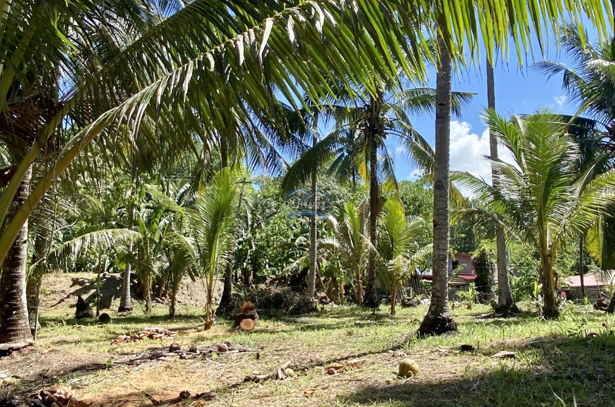 Amazing Beachlot For Sale in Magsaysay, Misamis Oriental