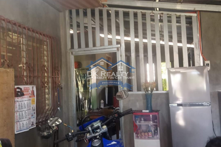 FULLY FURNISHED House and lot FOR SALE plus 1 hectare FARMLOT