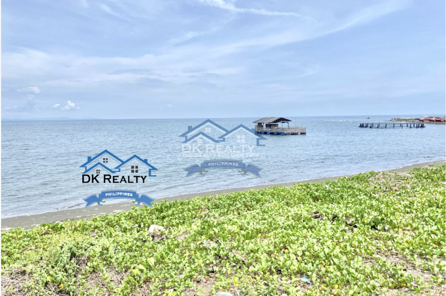 1,476 sqm Beach Lot for Sale with House in Cabadbaran City, Agusan del Norte, Philippines
