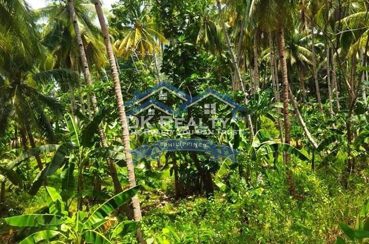 BEACH LOT WITH FARM