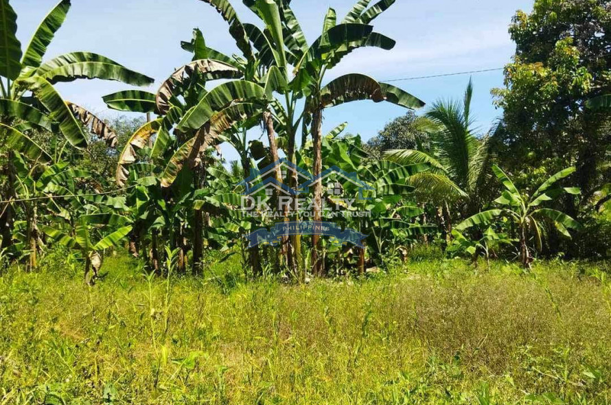 FULLY FURNISHED House and lot FOR SALE plus 1 hectare FARMLOT
