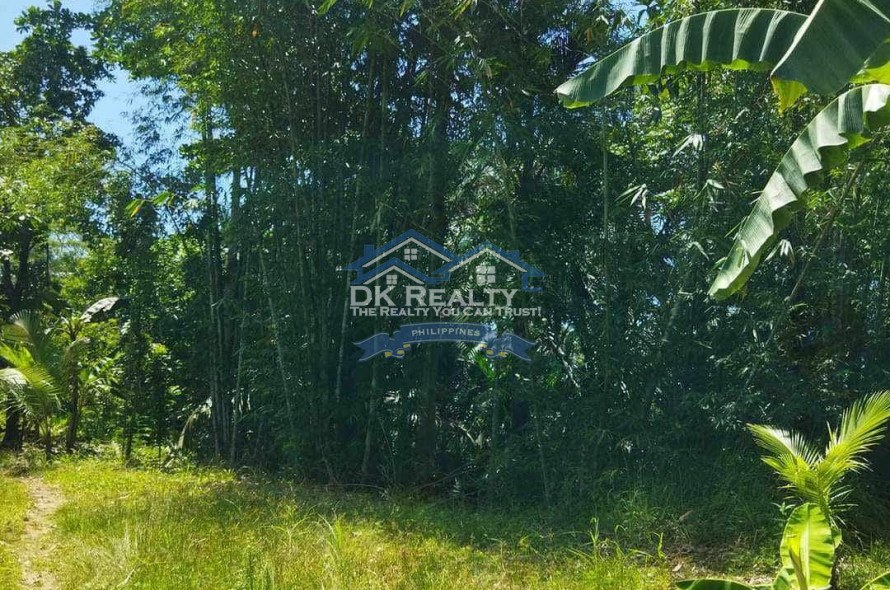 FULLY FURNISHED House and lot FOR SALE plus 1 hectare FARMLOT