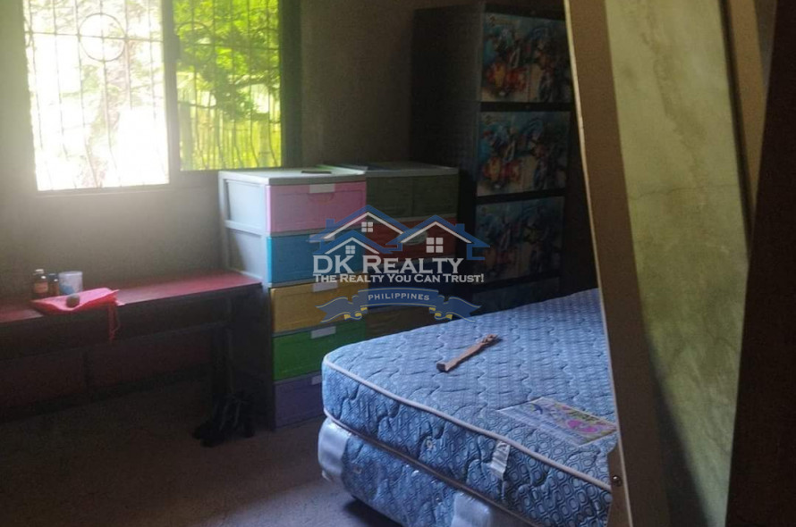 FULLY FURNISHED House and lot FOR SALE plus 1 hectare FARMLOT