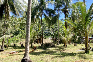 Amazing Beachlot For Sale in Magsaysay, Misamis Oriental