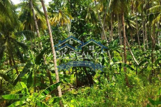 BEACH LOT WITH FARM