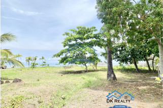 1,476 sqm Beach Lot for Sale with House in Cabadbaran City, Agusan del Norte, Philippines
