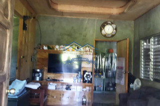 FULLY FURNISHED House and lot FOR SALE plus 1 hectare FARMLOT