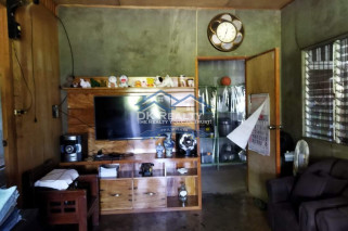 FULLY FURNISHED House and lot FOR SALE plus 1 hectare FARMLOT