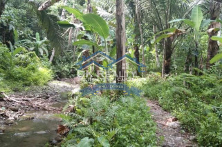 FARMLOT for SALE