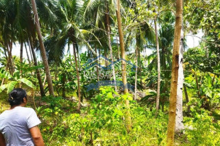 BEACH LOT WITH FARM
