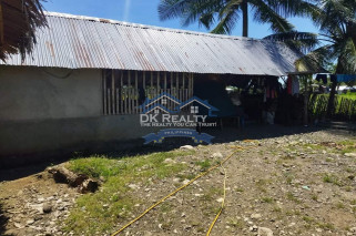 FULLY FURNISHED House and lot FOR SALE plus 1 hectare FARMLOT