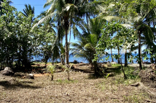 Amazing Beachlot For Sale in Magsaysay, Misamis Oriental