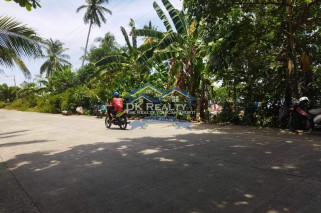 BEACH LOT WITH FARM