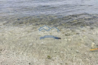 BEACH LOT WITH FARM