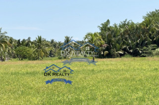 6-Hectare Farm for Sale in Butuan City