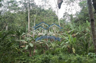 FARMLOT for SALE