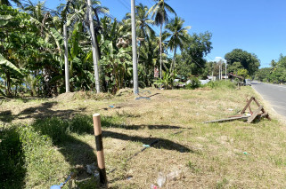 Amazing Beachlot For Sale in Magsaysay, Misamis Oriental