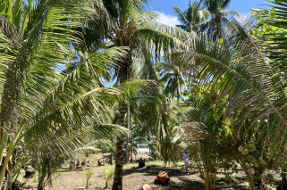 Amazing Beachlot For Sale in Magsaysay, Misamis Oriental