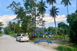 1,000 sqm Corner Lot for Investment in Butuan City near Caraga State University and Sports Complex