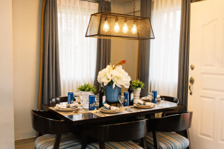 DANA MODEL