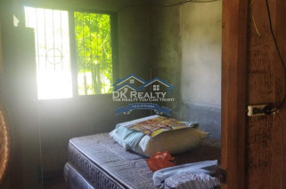FULLY FURNISHED House and lot FOR SALE plus 1 hectare FARMLOT