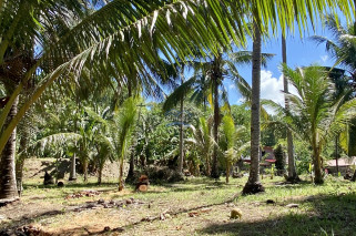 Amazing Beachlot For Sale in Magsaysay, Misamis Oriental